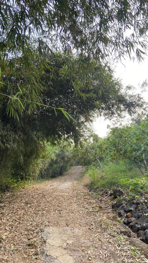 Lermitage Farms Kashid Alibaug Villa Exterior photo